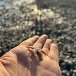 Les Petites Canailles Rooftop Cayeux-sur-Mer