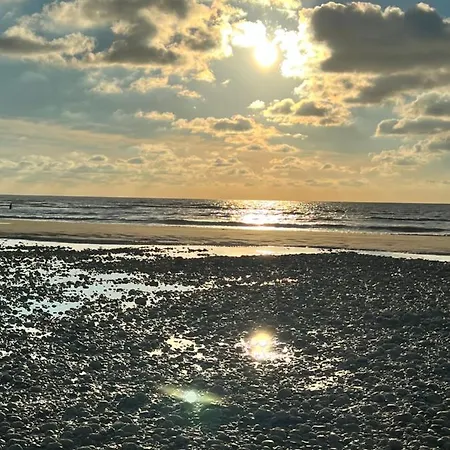 Les Petites Canailles Rooftop